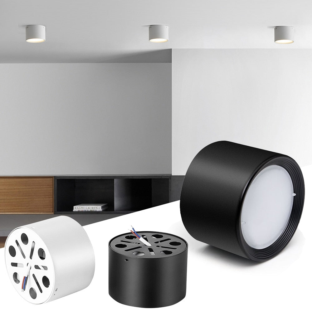 Ceiling Downlight Home Lighting Decoration LED Light Surface Mounted Downlight Led Downlight Cool White D30