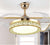 Ceiling Fan Lights Remote Control 36/42inch Dining Bedroom Living Fan Lamps Ceiling Fan Lightings Gold Luminaria Pendente Home