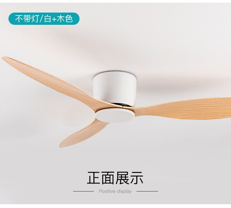 Modern Led Ceiling Fan Without Lights DC Motor 6 Speeds Timing Fans 20CM Low Floor Loft Remote Control Decorative Fan With Light