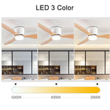 Modern Led Ceiling Fan Without Lights DC Motor 6 Speeds Timing Fans 20CM Low Floor Loft Remote Control Decorative Fan With Light