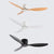 Modern Led Ceiling Fan Without Lights DC Motor 6 Speeds Timing Fans 20CM Low Floor Loft Remote Control Decorative Fan With Light