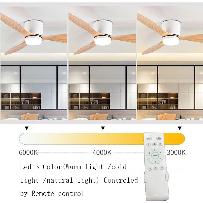 Modern Led Ceiling Fan Without Lights DC Motor 6 Speeds Timing Fans 20CM Low Floor Loft Remote Control Decorative Fan With Light