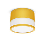 Macaroon Iron and Acrylic LED Ceiling Light 15W 12W 7W Dimmable Surface Mounted Ceiling Spot Light for Bar Kitchen Bedroom