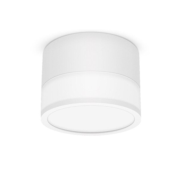 Macaroon Iron and Acrylic LED Ceiling Light 15W 12W 7W Dimmable Surface Mounted Ceiling Spot Light for Bar Kitchen Bedroom