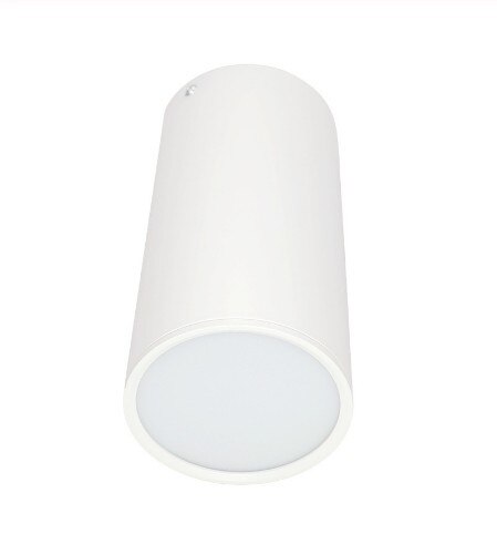 Dimmable Aluminum Surface Mounted Downlight Ceiling Lamp 10W 12W 15W 18W 20W LED Spot Light AC110/220V Ceiling Light+LED Drive