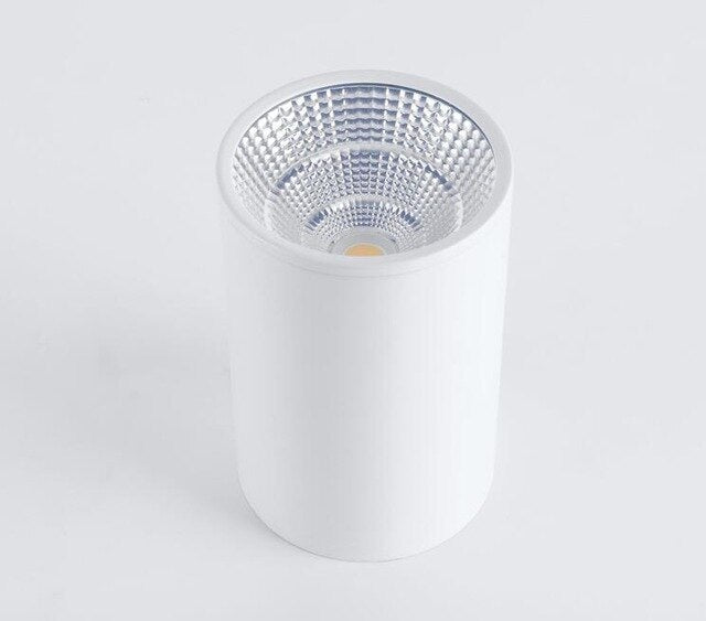 Dimmable Aluminum Surface Mounted Downlight Ceiling Lamp 10W 12W 15W 18W 20W LED Spot Light AC110/220V Ceiling Light+LED Drive