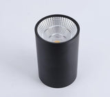 Dimmable Aluminum Surface Mounted Downlight Ceiling Lamp 10W 12W 15W 18W 20W LED Spot Light AC110/220V Ceiling Light+LED Drive