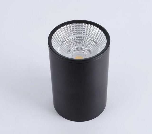 Dimmable Aluminum Surface Mounted Downlight Ceiling Lamp 10W 12W 15W 18W 20W LED Spot Light AC110/220V Ceiling Light+LED Drive