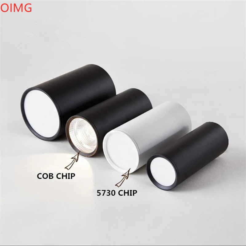 Dimmable Aluminum Surface Mounted Downlight Ceiling Lamp 10W 12W 15W 18W 20W LED Spot Light AC110/220V Ceiling Light+LED Drive