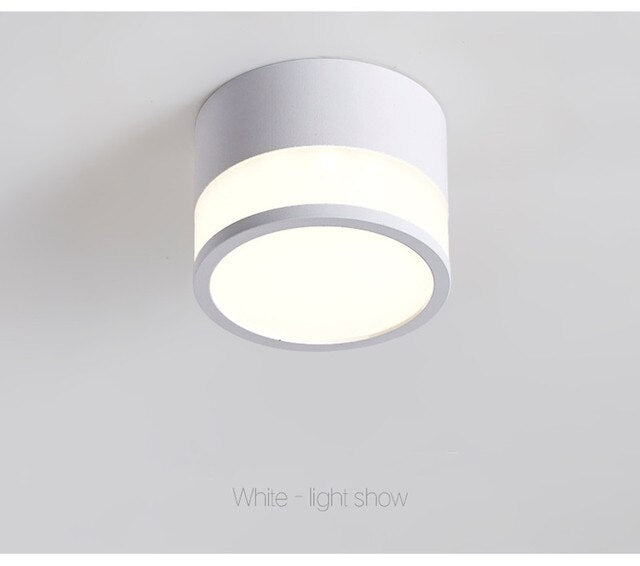 Dimmable Cylinder Led Downlight Surface Ceiling For Living Room Indoor Lighting AC240V 20W Room Foyer TV Background Luminaire