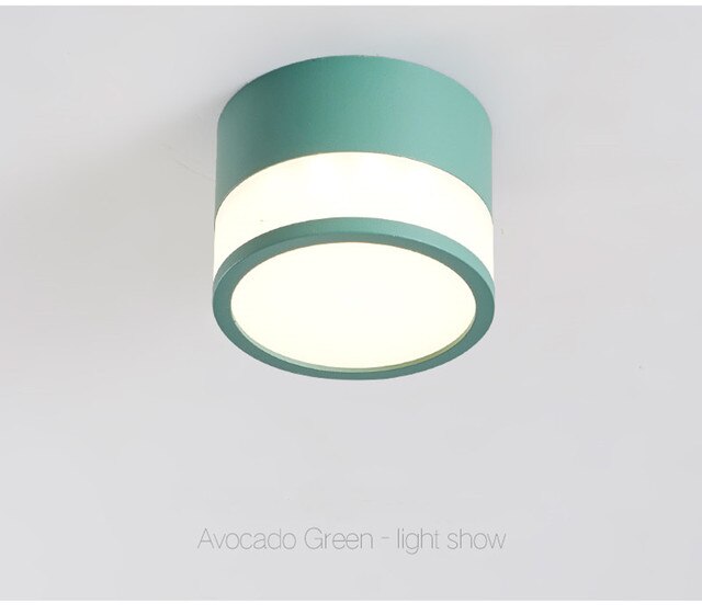 Dimmable Cylinder Led Downlight Surface Ceiling For Living Room Indoor Lighting AC240V 20W Room Foyer TV Background Luminaire
