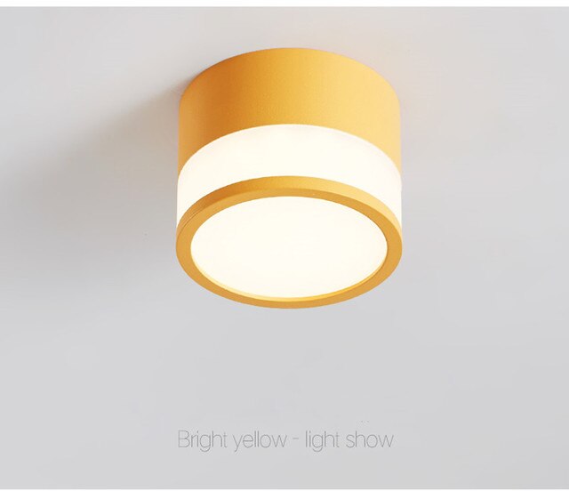 Dimmable Cylinder Led Downlight Surface Ceiling For Living Room Indoor Lighting AC240V 20W Room Foyer TV Background Luminaire