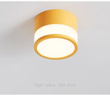 Dimmable Cylinder Led Downlight Surface Ceiling For Living Room Indoor Lighting AC240V 20W Room Foyer TV Background Luminaire