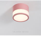 Dimmable Cylinder Led Downlight Surface Ceiling For Living Room Indoor Lighting AC240V 20W Room Foyer TV Background Luminaire