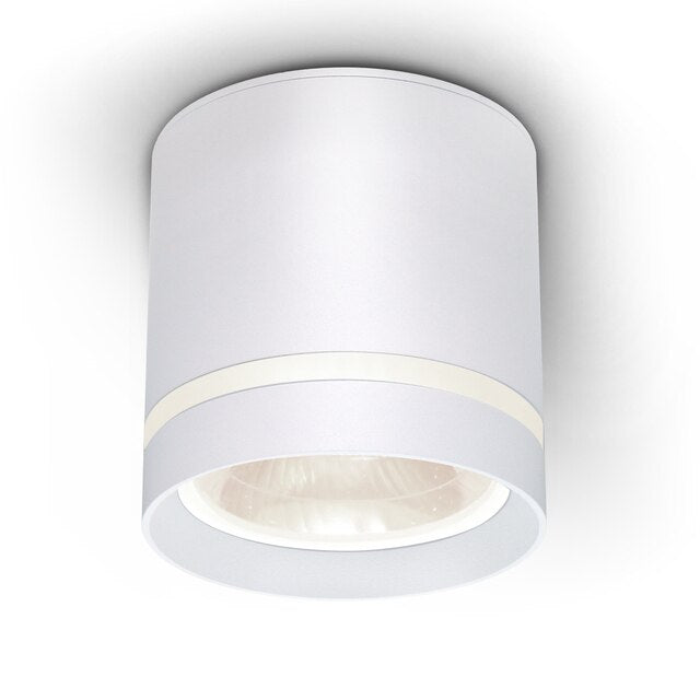 Dimmable LED Ceiling Downlight lamp 7W 15W Surface Mounted ceiling lamp AC220V 110V cob led spot lights Ceiling Fixture Lighting