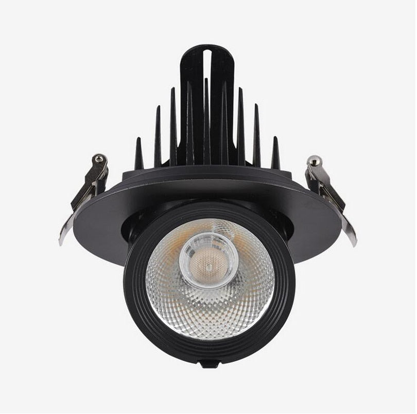 Dimmable LED downlight 10W 15W 20W 30W 40W adjustable 360 Degree led light 3000K/4000K/6000K Recessed Trunk downlight AC85-265V