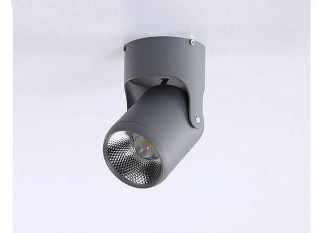 Dimmable Rotating LED Downlight, Surface Mounted Adjustment, ac85-265V COB, 5W7W10W12W 15W, Ceiling Spotlight, 1pc
