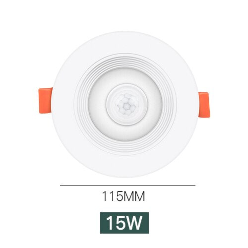 EeeToo PIR Motion Sensor Night Light 20W 15W 10W 5W LED Downlight Ceiling Lamp 85-265V Infrared Down Light Indoor Home Lighting