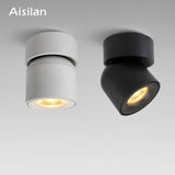 Aisilan Led  Surface Mounted Ceiling Downlight Adjustable 90 Degrees Nordic Spot Light  for Indoor Foyer,Living Room AC 90-260V