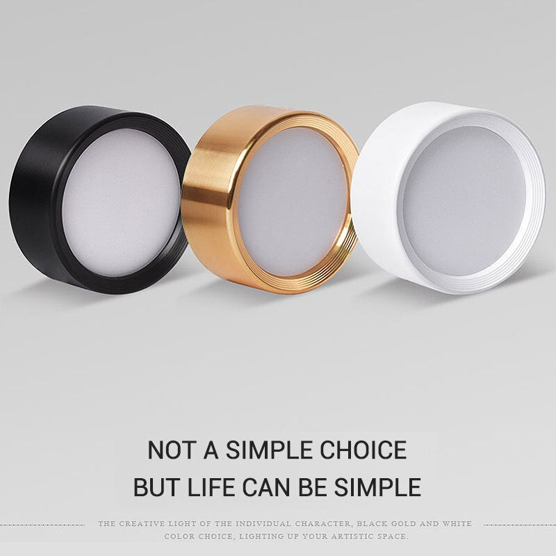 Surface Mounted LED Downlight 5W 7W 9W 12W 15W 18W 220V Ceiling Lamps Ultra Thin Driverless LED Spot Lights Book Rack Lighting