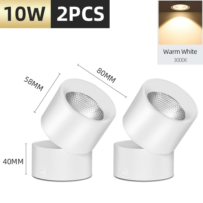 Surface Mounted Led Downlight Led Spot Light 220V 10/15/25W 110V Round Downlights Spot Led encastrable Lighting Fixture for Home