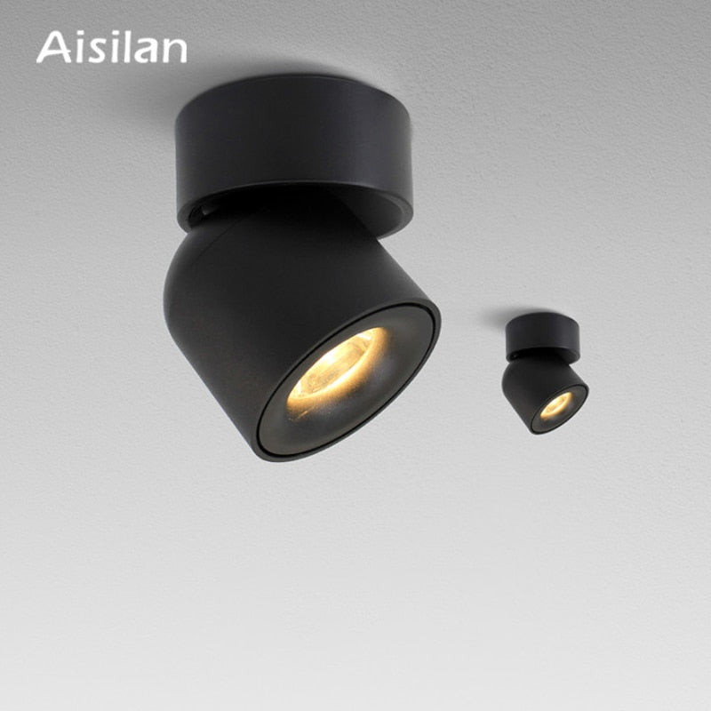 Aisilan Led  Surface Mounted Ceiling Downlight Adjustable 90 Degrees Nordic Spot Light  for Indoor Foyer,Living Room AC 90-260V