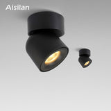 Aisilan Led  Surface Mounted Ceiling Downlight Adjustable 90 Degrees Nordic Spot Light  for Indoor Foyer,Living Room AC 90-260V