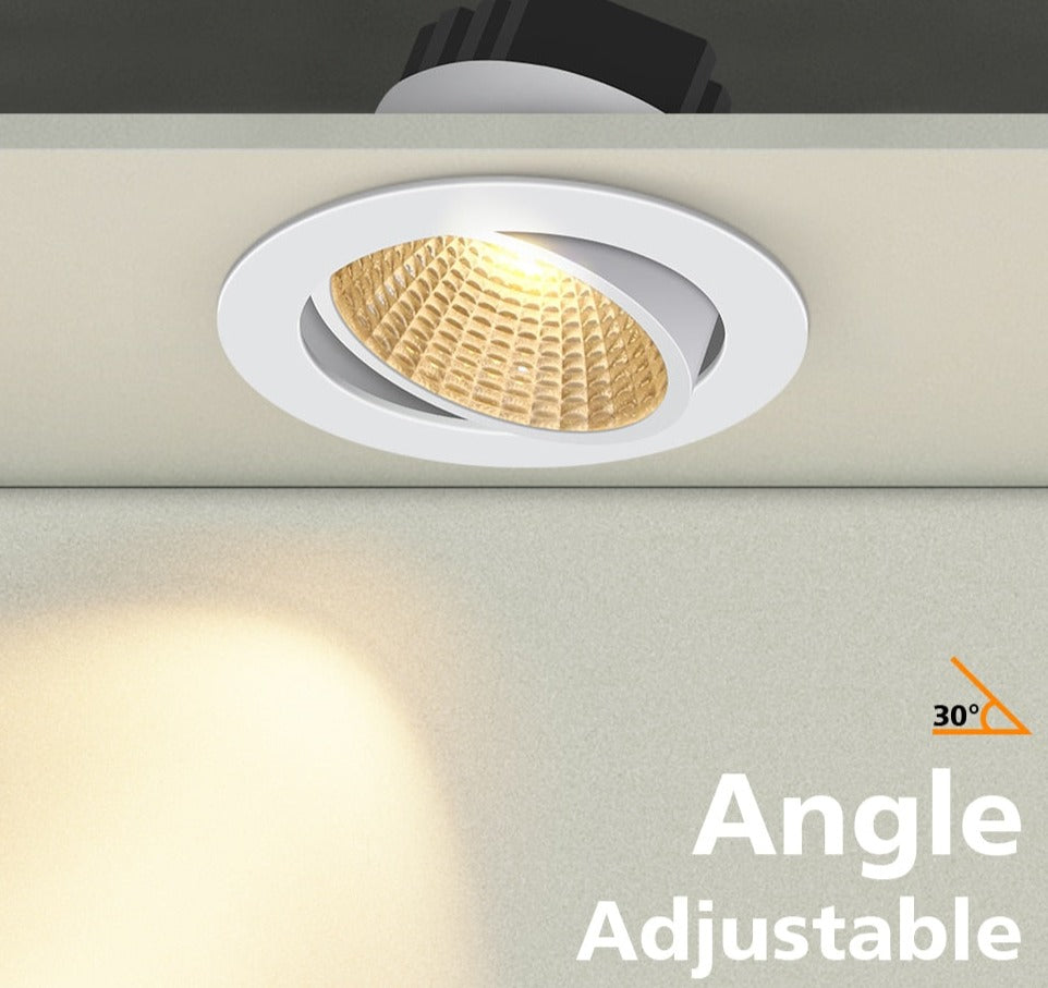 Black/White Body Recessed LED Dimmable Downlight COB 6W 9W 12W 15W LED Spot Light LED Decoration Ceiling Lamp AC 110V/220V