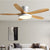 Modern LED Ceiling Fan With Light And Remote Control chandelier Fans for Living Room Lighting Stretch Ceilings Decoration Home
