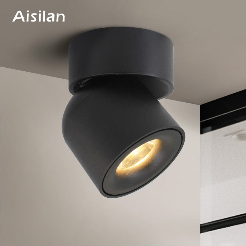 Aisilan Led  Surface Mounted Ceiling Downlight Adjustable 90 Degrees Nordic Spot Light  for Indoor Foyer,Living Room AC 90-260V