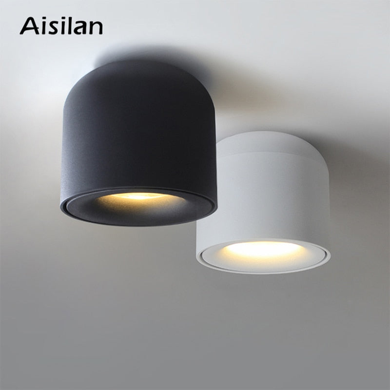 Aisilan Surface Mounted LED Downlight COB  Spot Light  for Living Room, Bedroom, Kitchen, Bathroom, Corridor,  AC 90v-260v