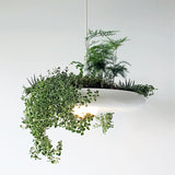 |200000531:193#White Without Plant|2251832492634847-White Without Plant