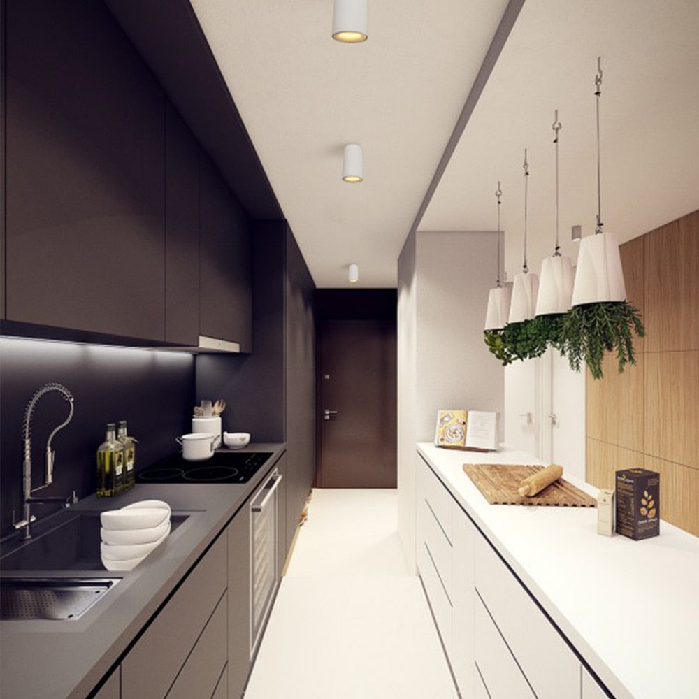 Aisilan Nordic LED Downlight Surface Mounted Ceiling Lamps AC85-260V White/Black  Spot light for Living Room Bedroom Hallway