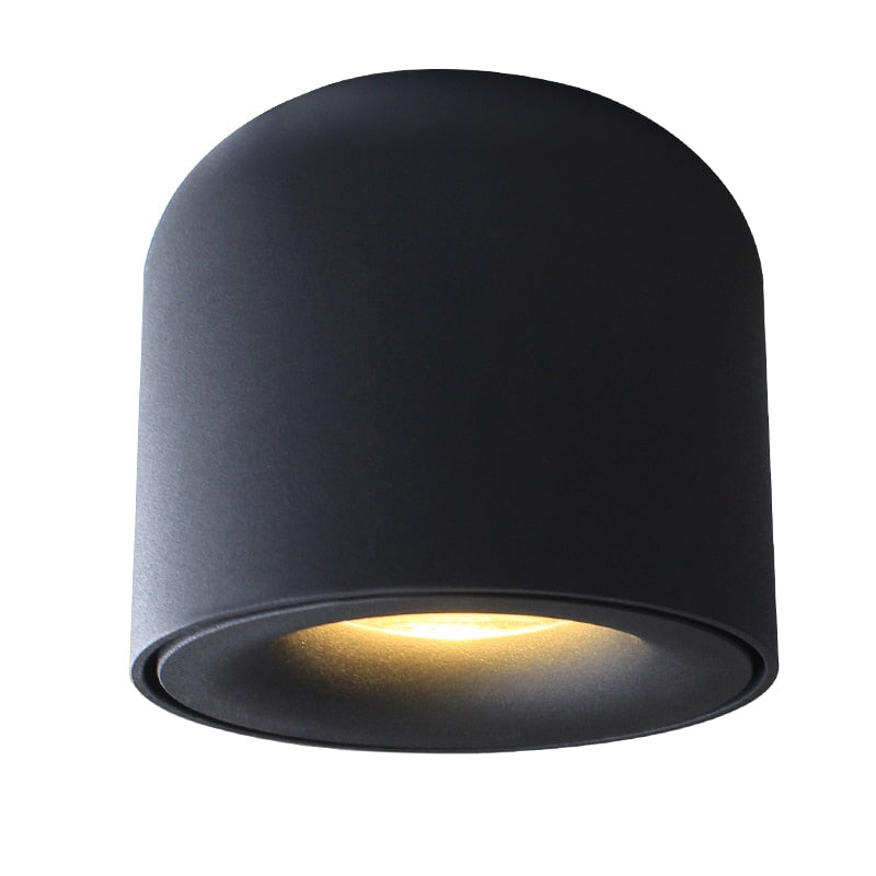 Aisilan Surface Mounted LED Downlight COB  Spot Light  for Living Room, Bedroom, Kitchen, Bathroom, Corridor,  AC 90v-260v