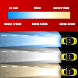 NEW Arrivals Car Lights Bulbs LED H4 H7 9003 HB2 H11 LED H1 H3 H8 H9 880 9005 9006 H13 9004 9007 Auto Headlights 12V Led Light