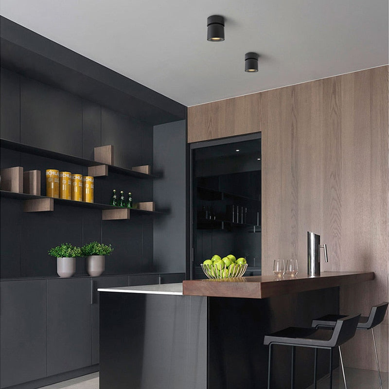 Aisilan Led  Surface Mounted Ceiling Downlight Adjustable 90 Degrees Nordic Spot Light  for Indoor Foyer,Living Room AC 90-260V