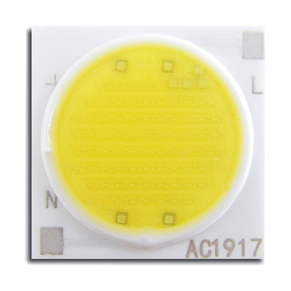 Ceramics Base LED COB Chip Bulb 3W 5W 7W 9W 12W 15W 20W 30W 50W AC220V Smart IC Diode For FloodLight Spotlight Downlight DIY LED