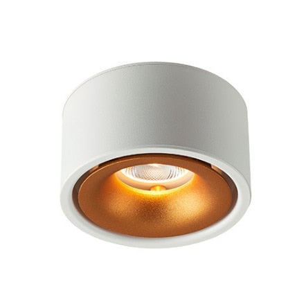 Round Surface Mounted LED Downlights 7W 12W 15W Mounted Ceiling Lamps Spot Light 110V/220V driverless LED DownLight