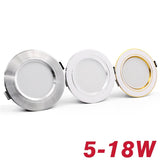 LED Downlight Ceiling 5W 9W 12W 15W 18W led Ceiling lamp Gold/Silver/White Body AC 220V 230V 240V led light