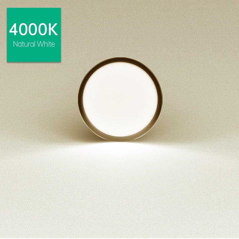 Surface Mounted Led Downlight Led Spot Light 220V 10/15/25W 110V Round Downlights Spot Led en-castrable Lighting Fixture for Home