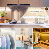 Wireless LED Night Light Motion Sensor Light Closet Night Lamp For Kitchen Bedroom Detector Light Cabinet Staircase Backlight