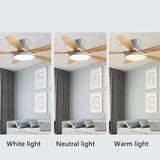 Modern LED Ceiling Fan With Light And Remote Control chandelier Fans for Living Room Lighting Stretch Ceilings Decoration Home