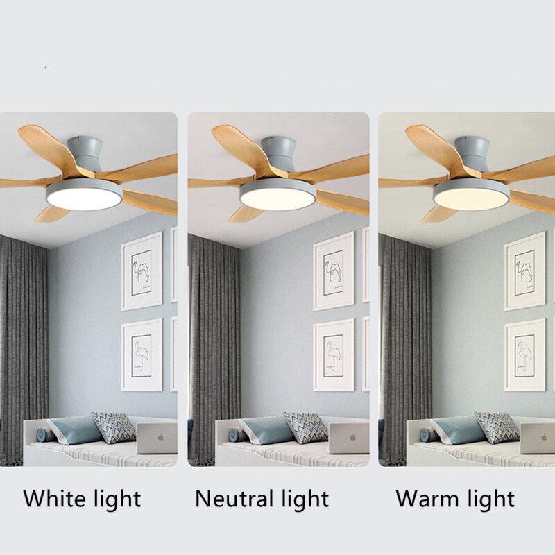 Modern LED Ceiling Fan With Light And Remote Control chandelier Fans for Living Room Lighting Stretch Ceilings Decoration Home