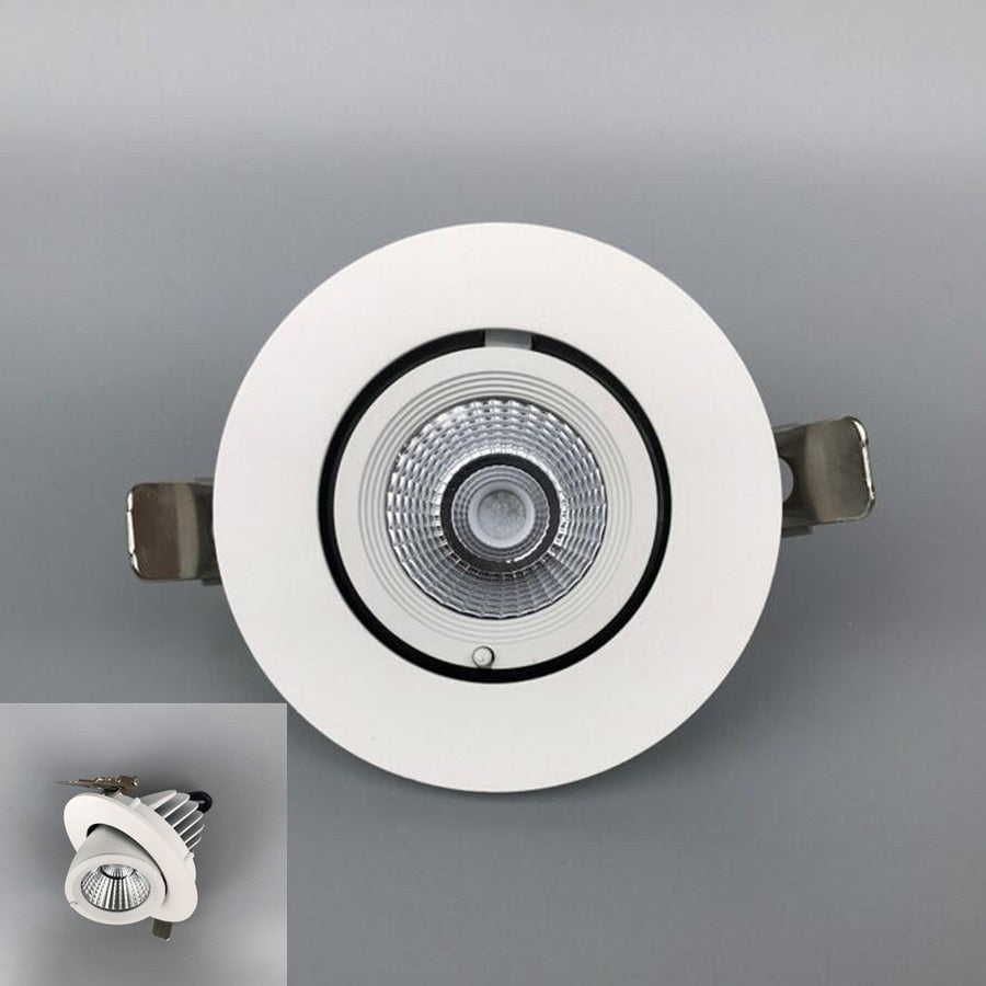 High Quality Adjustable LED Downlight 15W 20W COB LED Recessed Downlights Aluminum+Driver Dimmable LED Bulb Lamps 10pcs YRANK