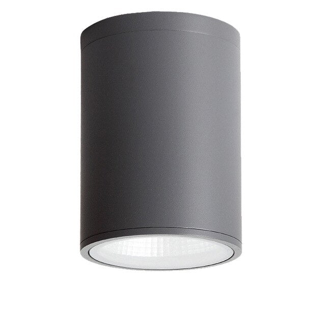 LED COB Ceiling Downlight IP65 Waterproof Outdoor Surface Mounted Aluminum Spot Light 5W 12W 20W 30W Hotel Villa Home Lighting