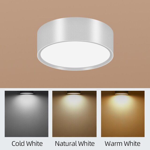 LED Ceiling Lighting 10W Surface Mounted Downlight Ceiling Lamp for Living Room Spotlight Panel Lights Kitchen Lamp AC110-265V