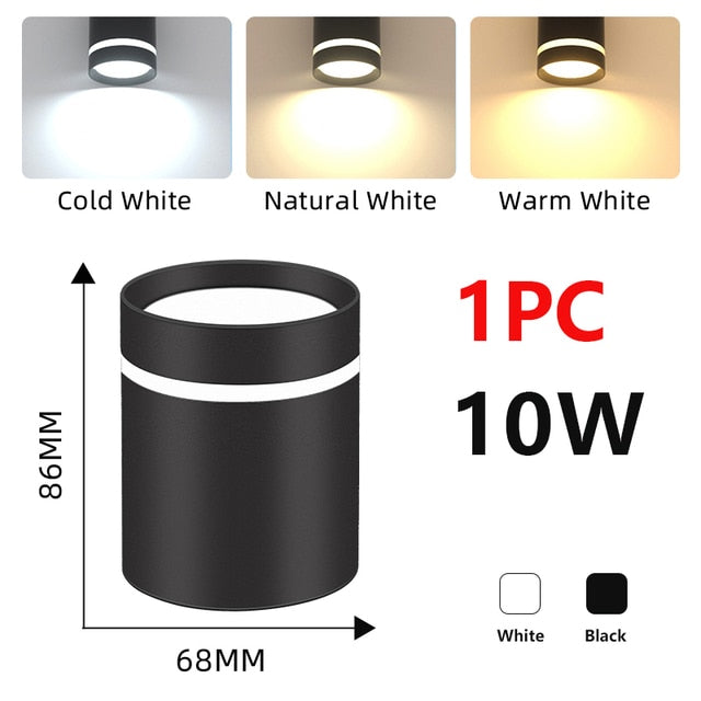 LED Downlight 220V Surface Mounted Spot Lamp 5W 10W 15W LED Spotlights Home Decor Lighting Fixture for Kitchen Store Living Room