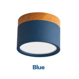 LED Downlight 5W 7W 9W 12W 15W 18W Dimmable Nordic Wood Modern Surface Mounted Ceiling light spotlight interior decoration light
