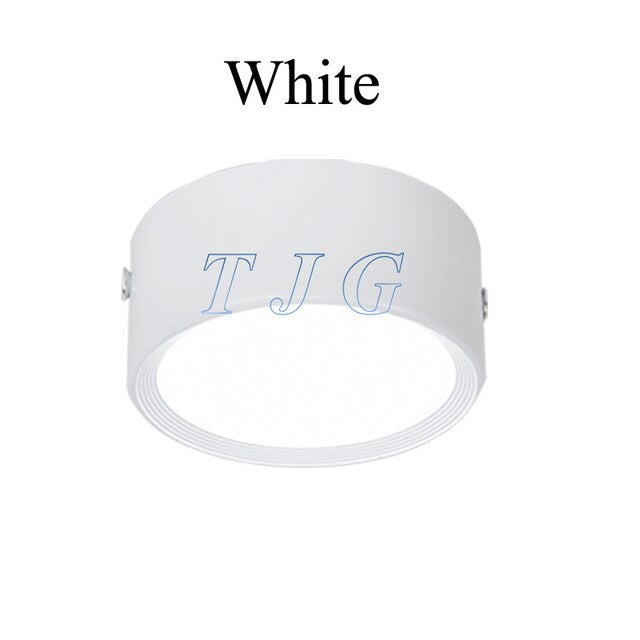 LED Surface Mounted Ultra Thin Led Panel Downlight 3W/5W/7W/9W/12W AC220V Ceiling Spot Light Home Decor Indoor Lighting