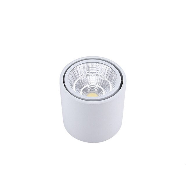 LED downlight COB spotlight Dimmable 110V 220V 7W 9W12W 20W 24W adjustable angle aluminum surface mounted light indoor lighting